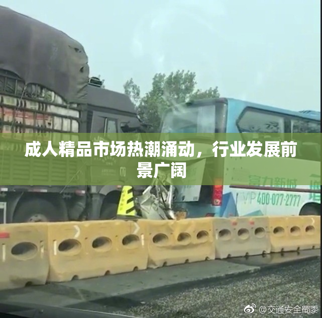成人精品市场热潮涌动，行业发展前景广阔