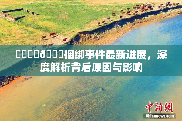 ❌‌❌‌🔞捆绑事件最新进展，深度解析背后原因与影响