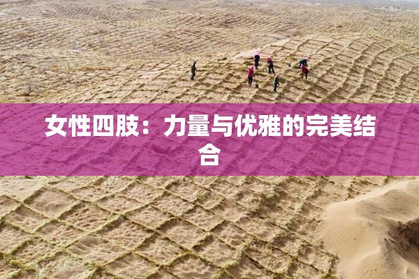 女性四肢：力量与优雅的完美结合