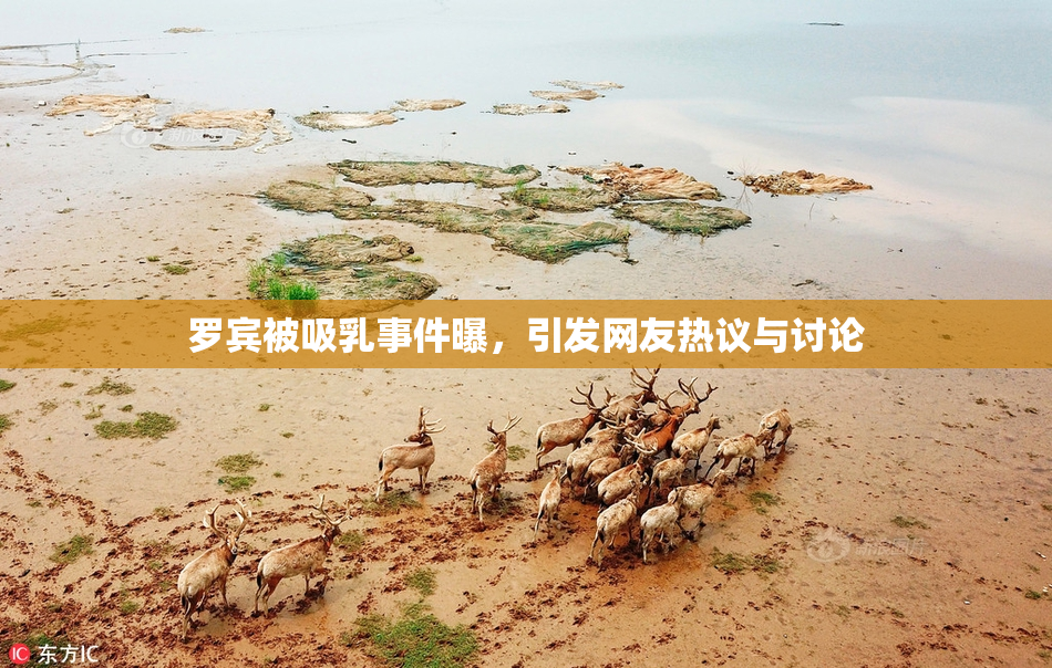 罗宾被吸乳事件曝，引发网友热议与讨论