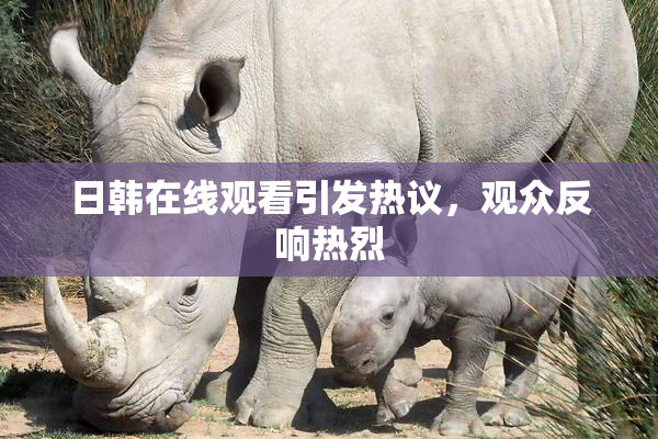 日韩在线观看引发热议，观众反响热烈