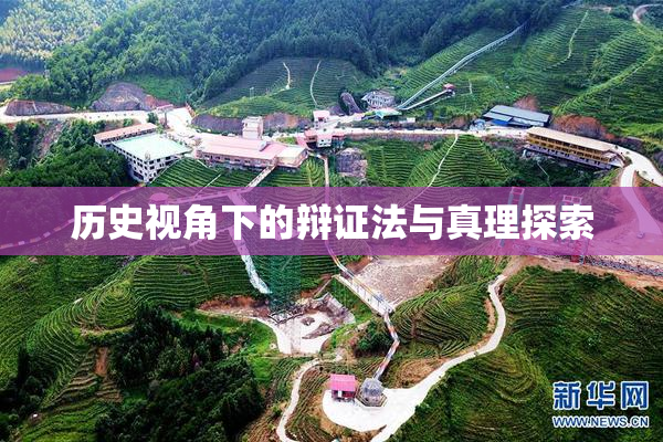 历史视角下的辩证法与真理探索