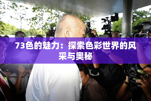 73色的魅力：探索色彩世界的风采与奥秘