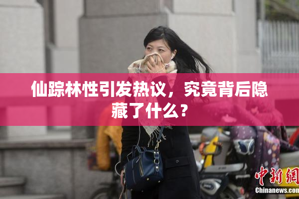 仙踪林性引发热议，究竟背后隐藏了什么？