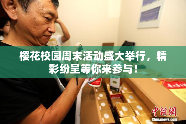 樱花校园周末活动盛大举行，精彩纷呈等你来参与！