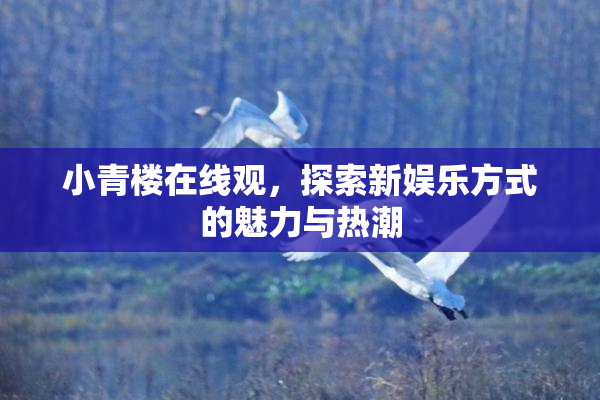 小青楼在线观，探索新娱乐方式的魅力与热潮