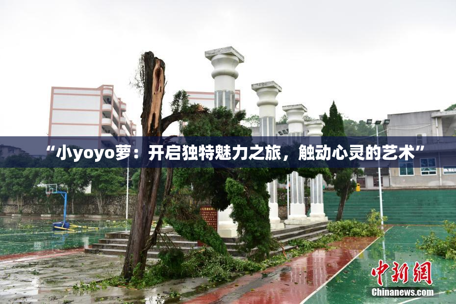 “小yoyo萝：开启独特魅力之旅，触动心灵的艺术”