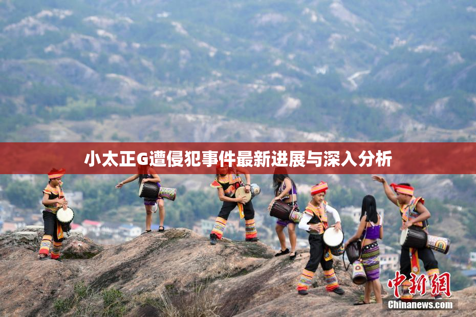 小太正G遭侵犯事件最新进展与深入分析