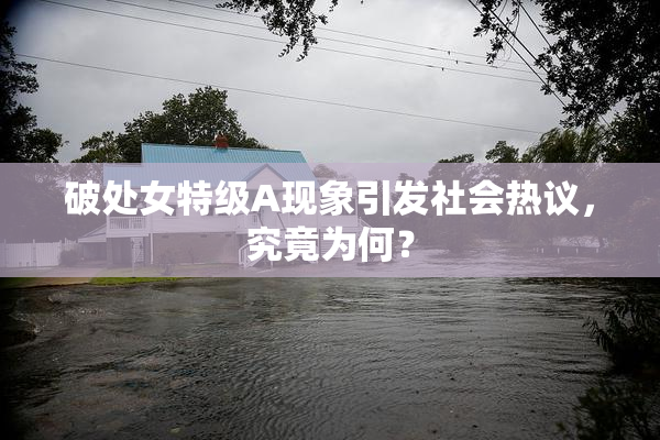 破处女特级A现象引发社会热议，究竟为何？