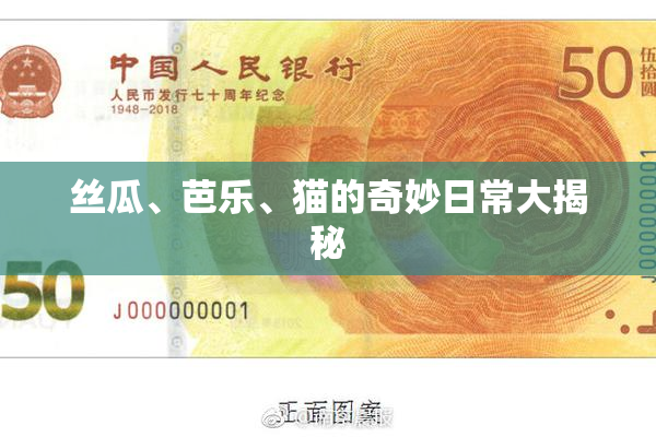 丝瓜、芭乐、猫的奇妙日常大揭秘