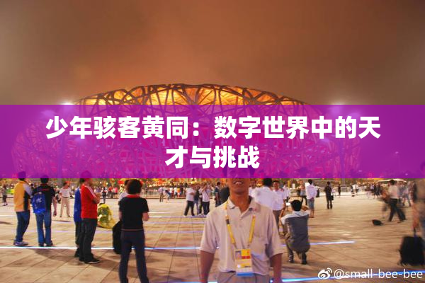 少年骇客黄同：数字世界中的天才与挑战