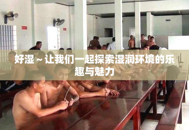 好湿～让我们一起探索湿润环境的乐趣与魅力