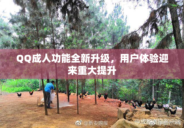 QQ成人功能全新升级，用户体验迎来重大提升