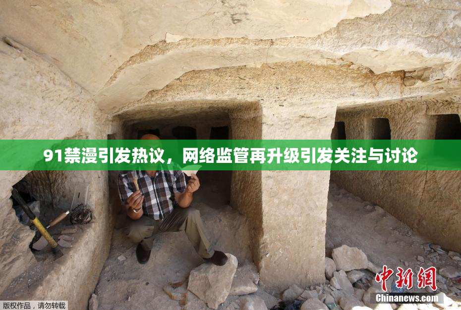 91禁漫引发热议，网络监管再升级引发关注与讨论