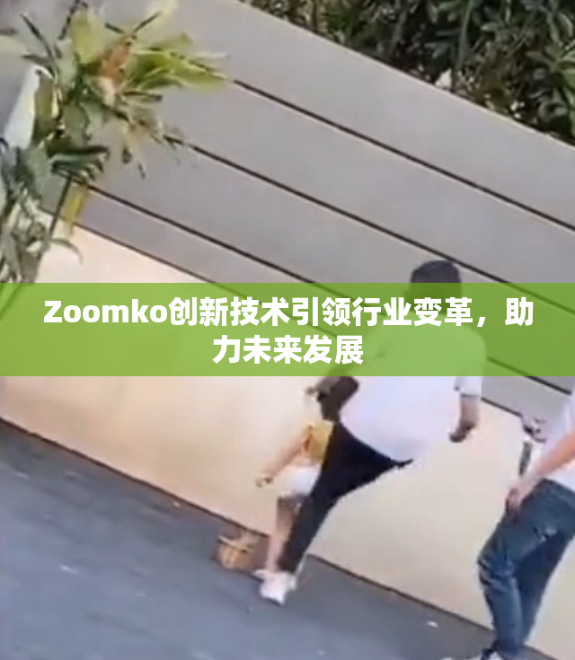 Zoomko创新技术引领行业变革，助力未来发展