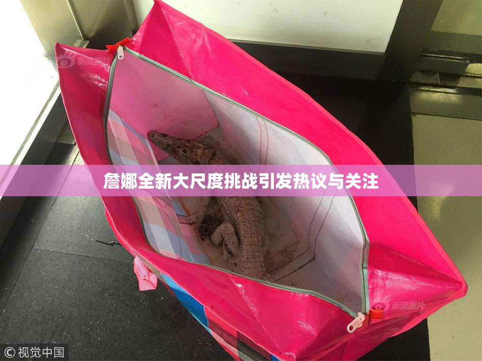 詹娜全新大尺度挑战引发热议与关注
