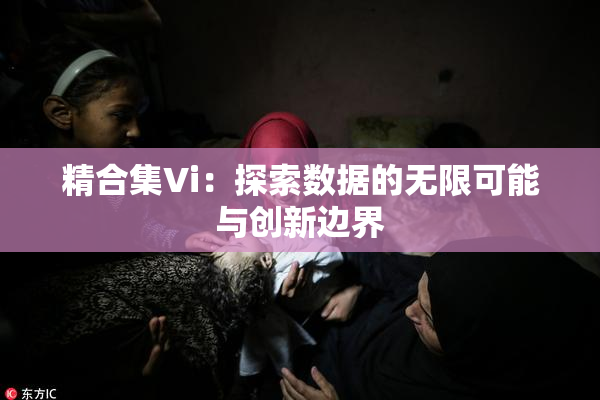 精合集Vi：探索数据的无限可能与创新边界