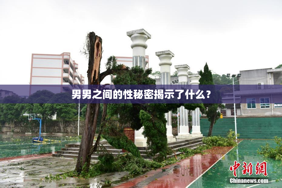 男男之间的性秘密揭示了什么？