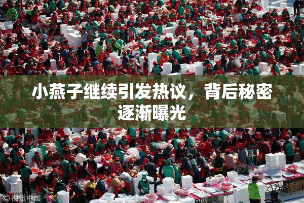 小燕子继续引发热议，背后秘密逐渐曝光
