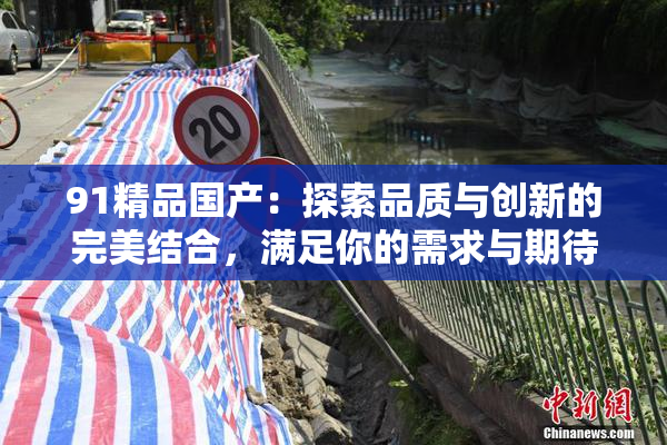 91精品国产：探索品质与创新的完美结合，满足你的需求与期待。