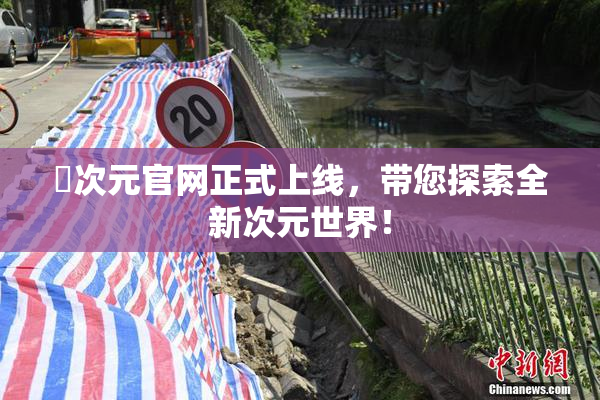 囧次元官网正式上线，带您探索全新次元世界！