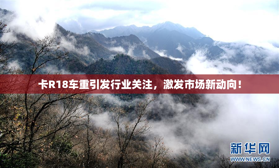 卡R18车重引发行业关注，激发市场新动向！