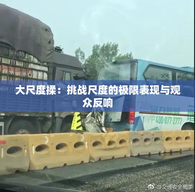 大尺度揉：挑战尺度的极限表现与观众反响