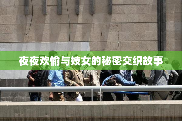夜夜欢愉与妓女的秘密交织故事