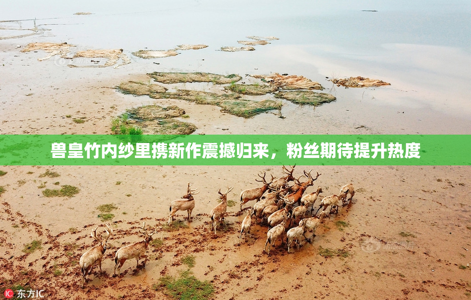 兽皇竹内纱里携新作震撼归来，粉丝期待提升热度