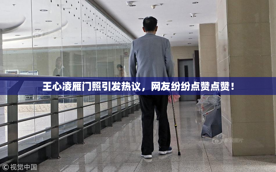 王心凌雁门照引发热议，网友纷纷点赞点赞！