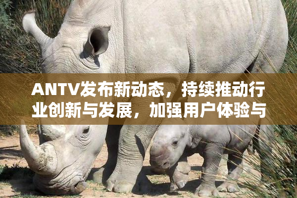 ANTV发布新动态，持续推动行业创新与发展，加强用户体验与功能升级。