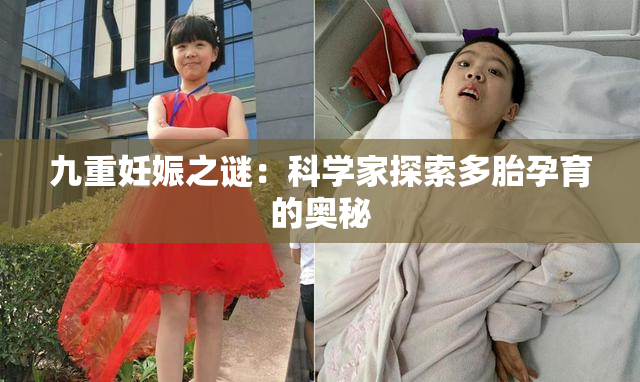 九重妊娠之谜：科学家探索多胎孕育的奥秘