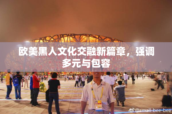 欧美黑人文化交融新篇章，强调多元与包容