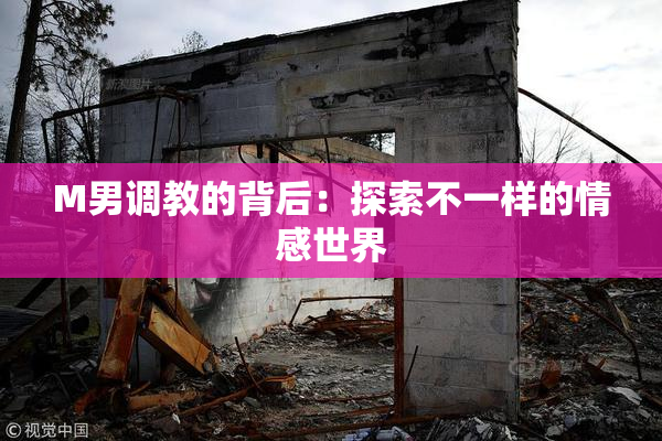 M男调教的背后：探索不一样的情感世界