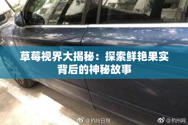 草莓视界大揭秘：探索鲜艳果实背后的神秘故事
