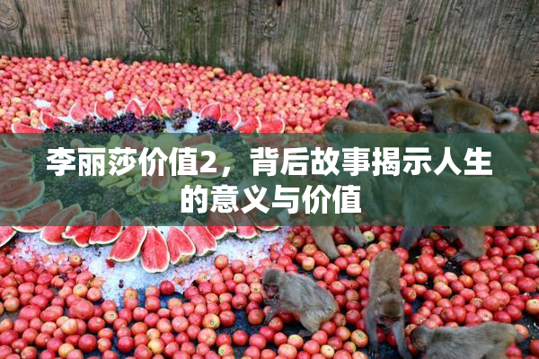 李丽莎价值2，背后故事揭示人生的意义与价值