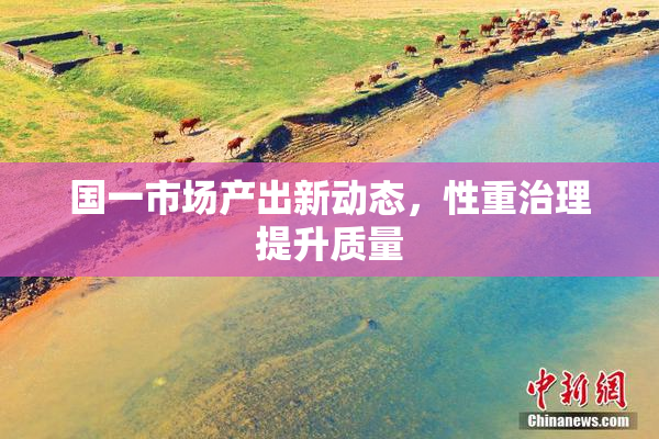 国一市场产出新动态，性重治理提升质量