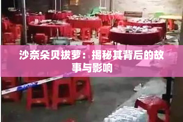 沙奈朵贝拔萝：揭秘其背后的故事与影响
