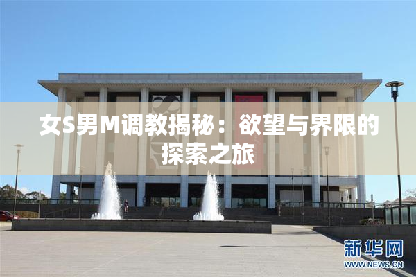 女S男M调教揭秘：欲望与界限的探索之旅