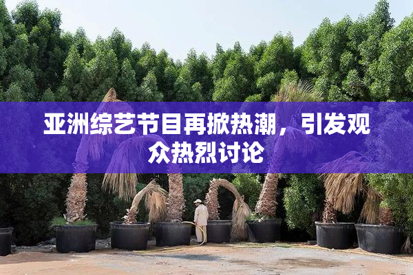 亚洲综艺节目再掀热潮，引发观众热烈讨论