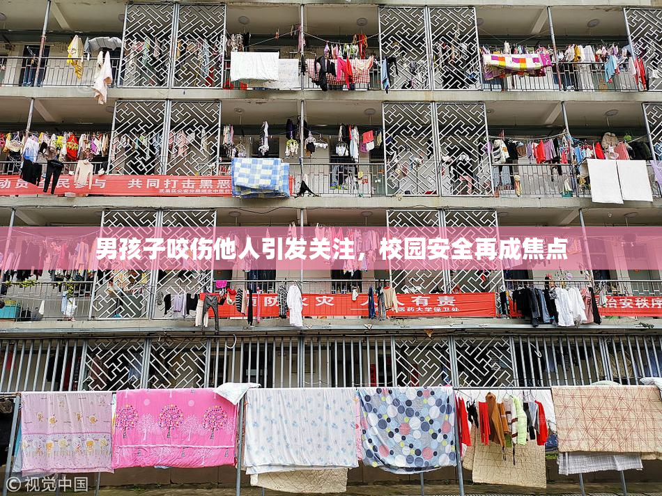 男孩子咬伤他人引发关注，校园安全再成焦点