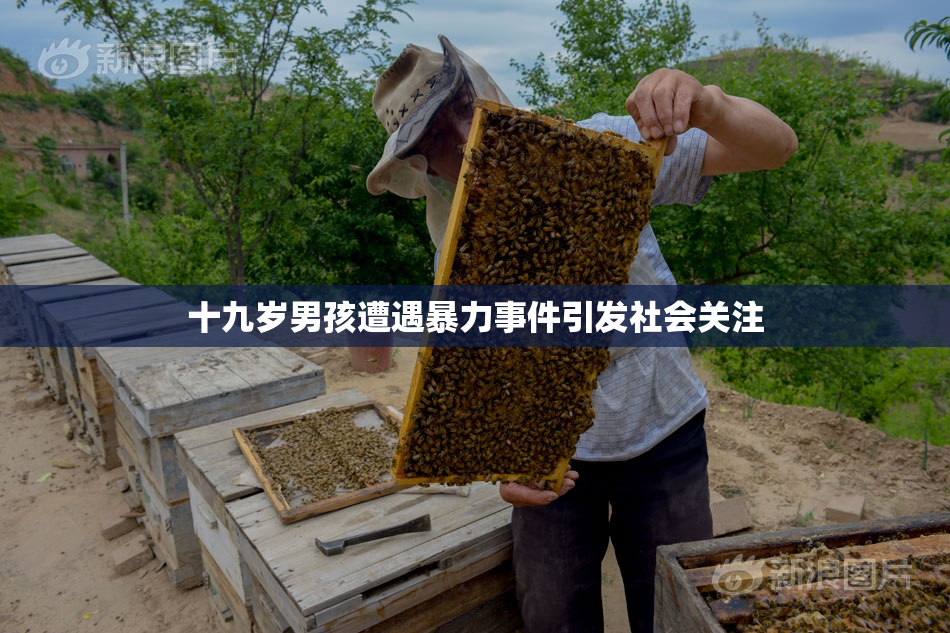 十九岁男孩遭遇暴力事件引发社会关注