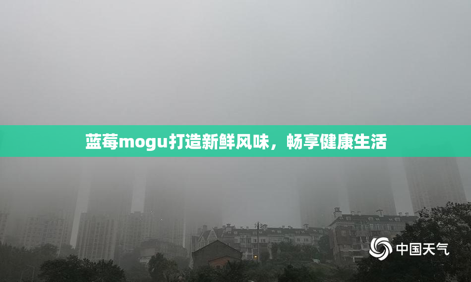 蓝莓mogu打造新鲜风味，畅享健康生活