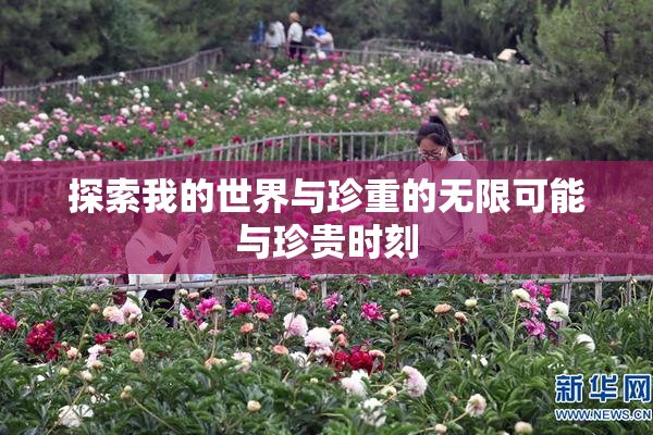 探索我的世界与珍重的无限可能与珍贵时刻