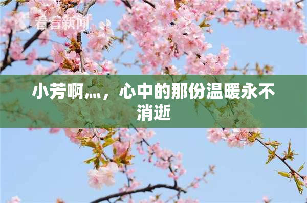 小芳啊灬，心中的那份温暖永不消逝