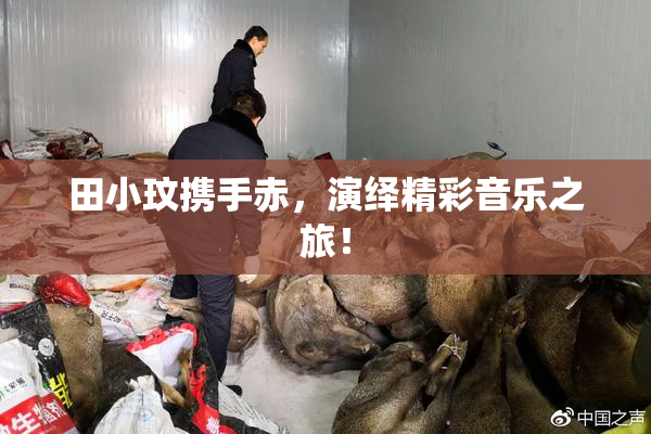 田小玟携手赤，演绎精彩音乐之旅！