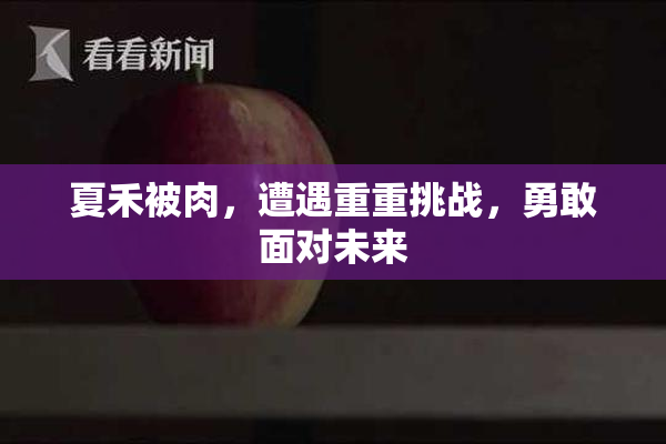 夏禾被肉，遭遇重重挑战，勇敢面对未来