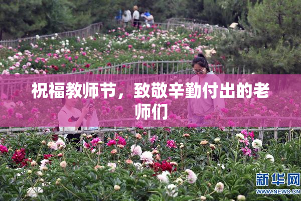祝福教师节，致敬辛勤付出的老师们