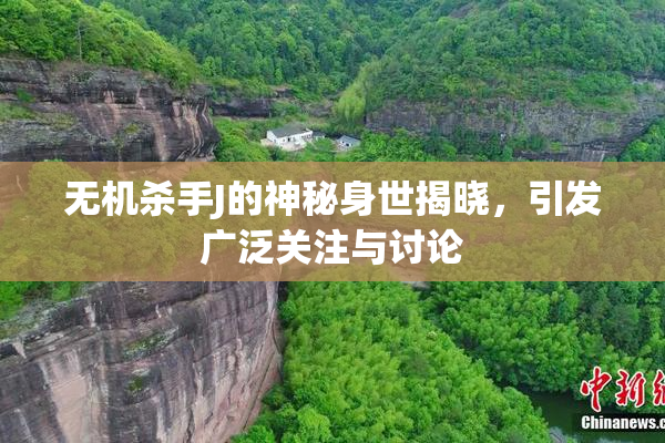 无机杀手J的神秘身世揭晓，引发广泛关注与讨论