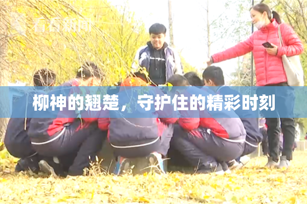 柳神的翘楚，守护住的精彩时刻